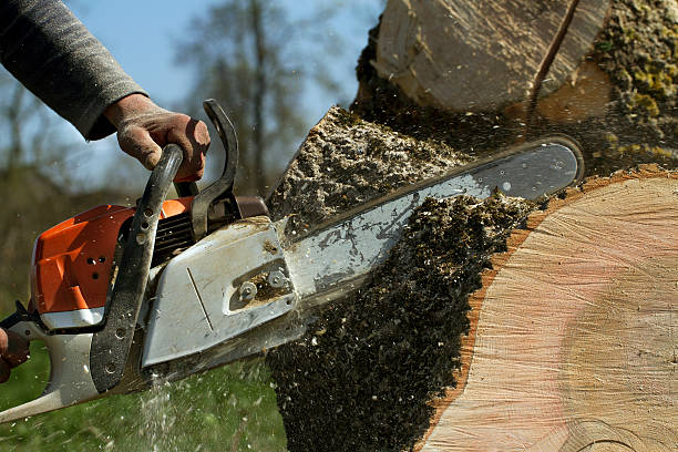 Best Tree Care Services  in Kuna, ID